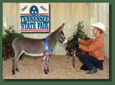 Nicolana Tn State Fair 2007