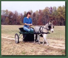 Barbara driving Sparky