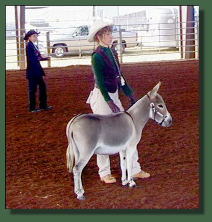 Cedar Creek Farm's Sparky