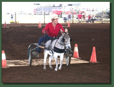 Obstacle Driving